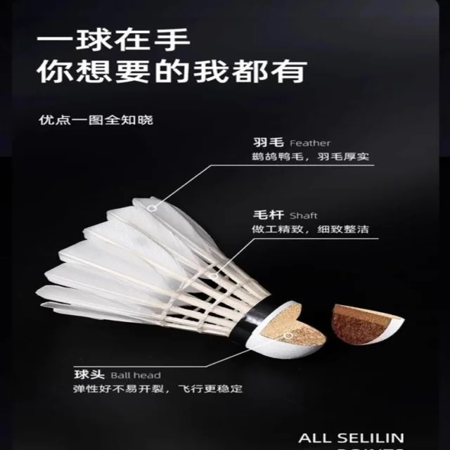 深入解读新闻资讯与赛事动态的背后密码